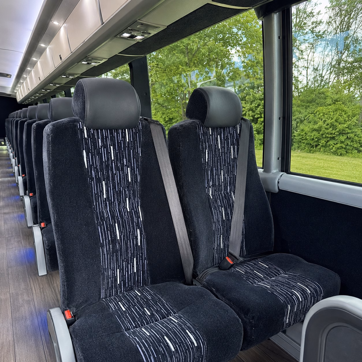 carlsbad charter bus interior gallery